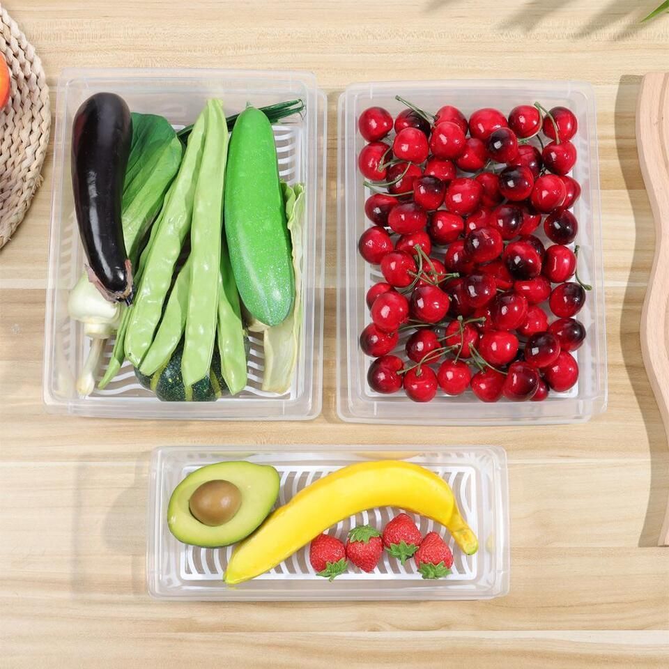 Fridge Storage Containers Box (Pack of 2,3,4&6)